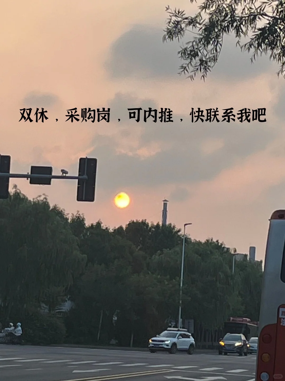 天津双休采购岗