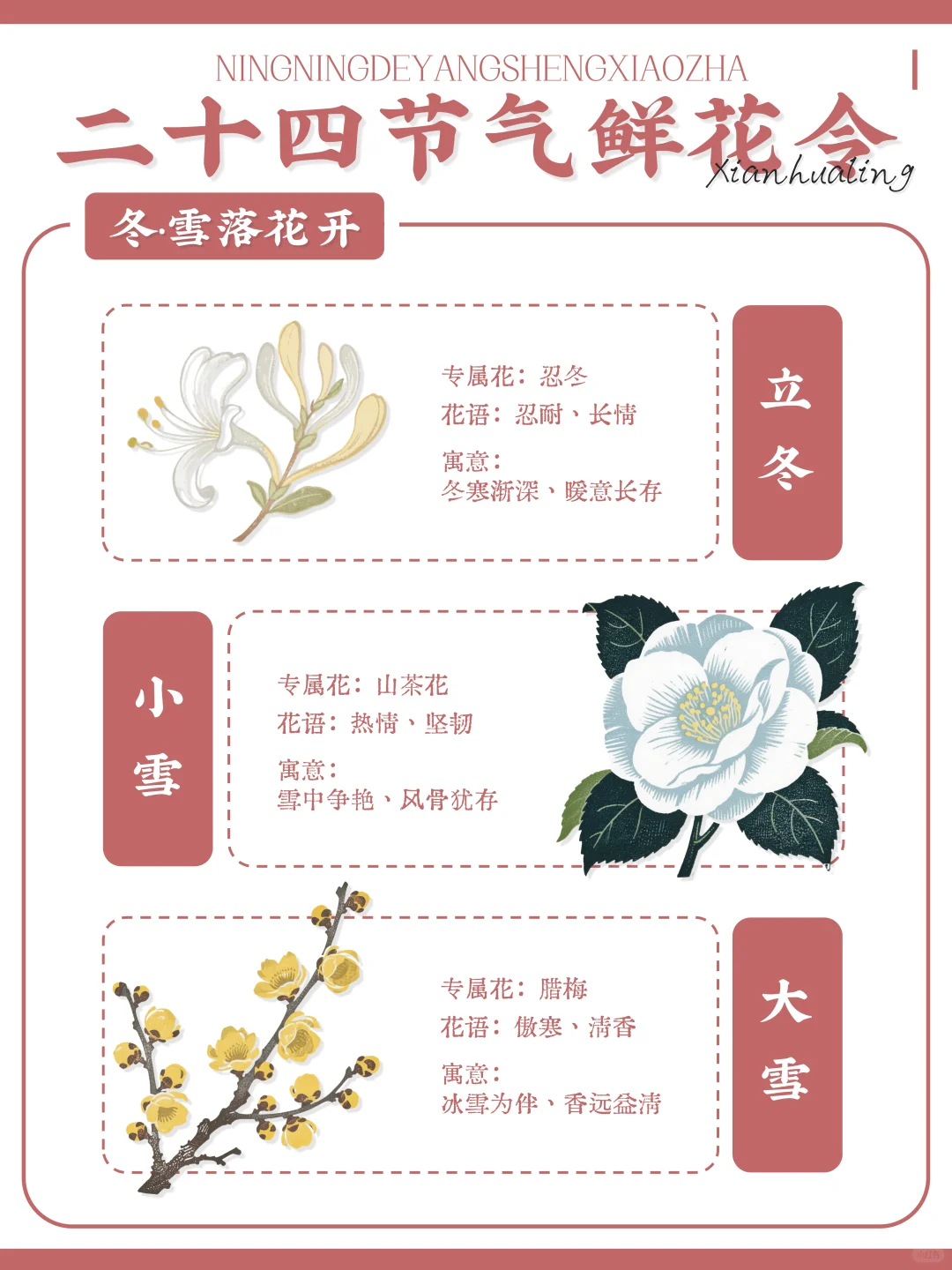 ?古人留给我们的浪漫｜二十四节气鲜花令?