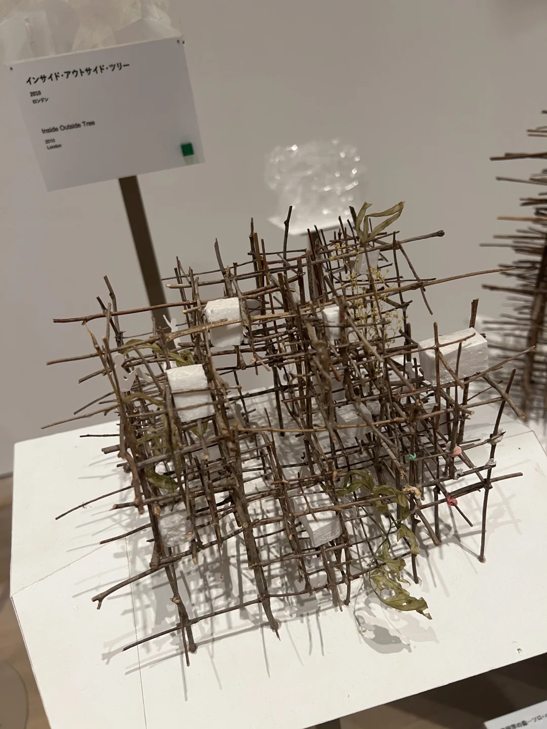 ??东京看展｜藤本壮介の建筑展