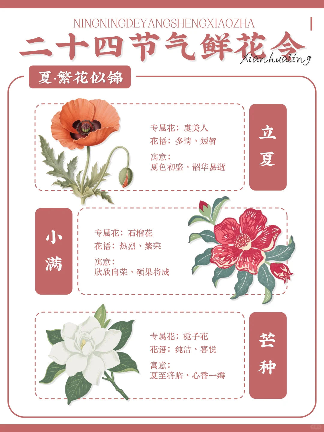 ?古人留给我们的浪漫｜二十四节气鲜花令?