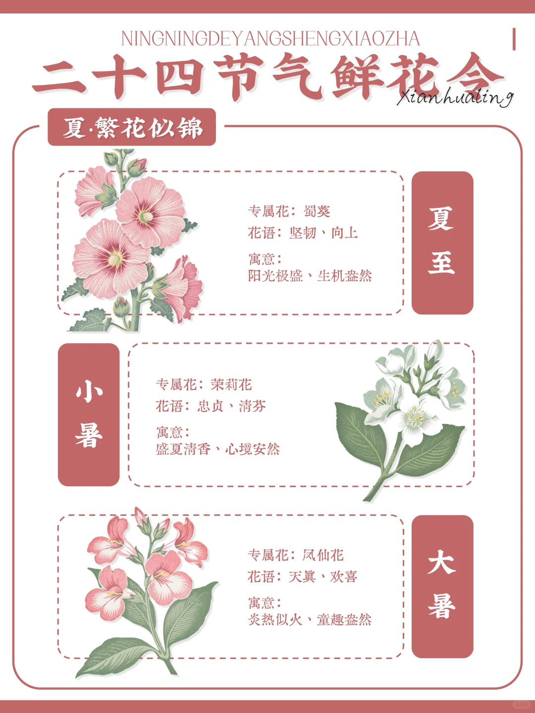 ?古人留给我们的浪漫｜二十四节气鲜花令?