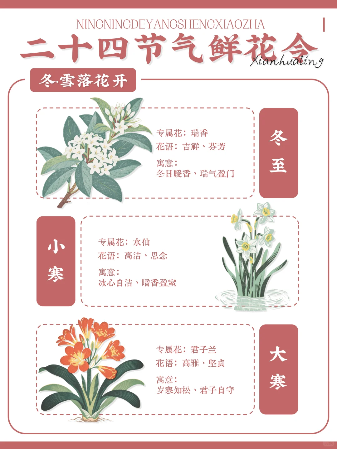 ?古人留给我们的浪漫｜二十四节气鲜花令?