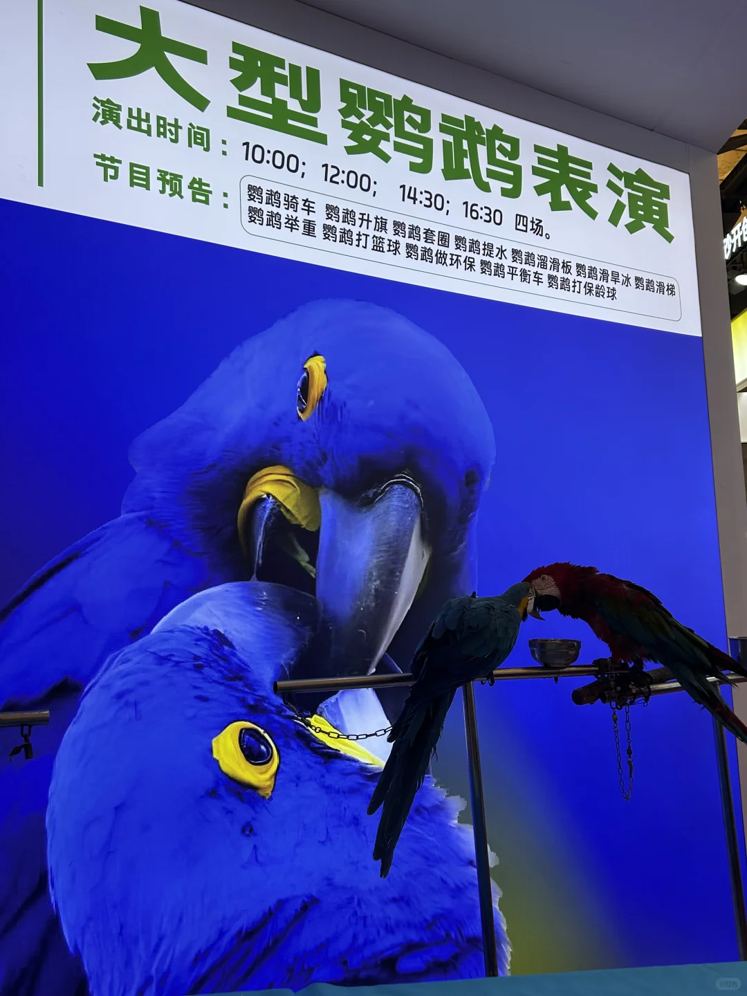 Hi Pet Fair Asia 2025