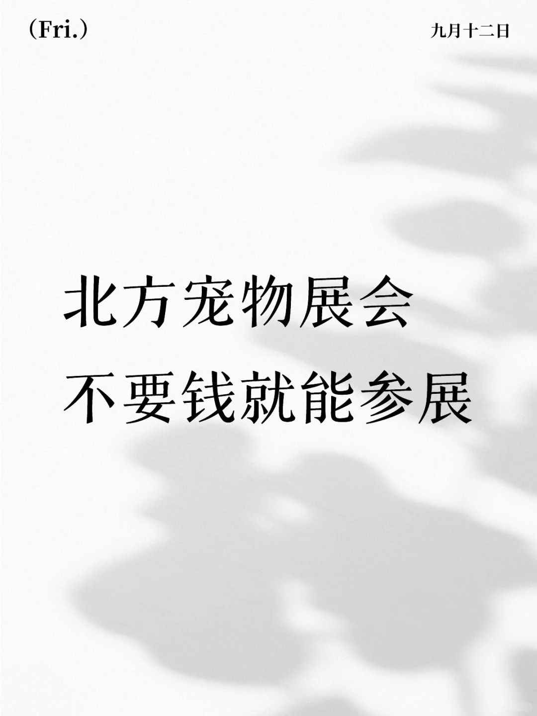 宠物用品展会对商家免费入驻参展了