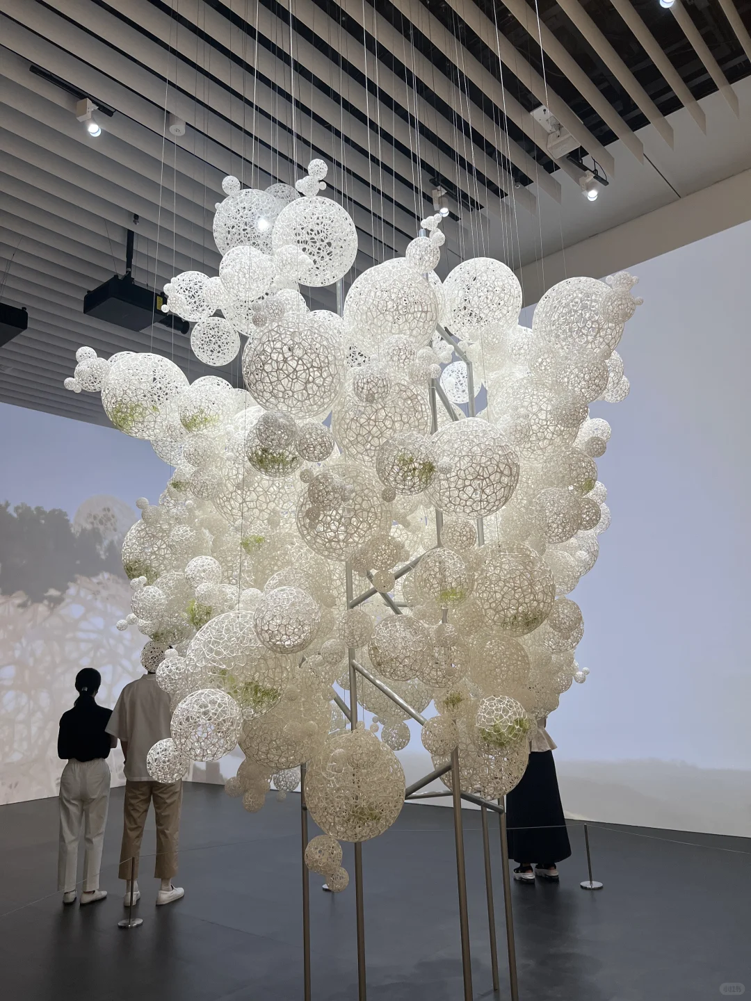 ??东京看展｜藤本壮介の建筑展