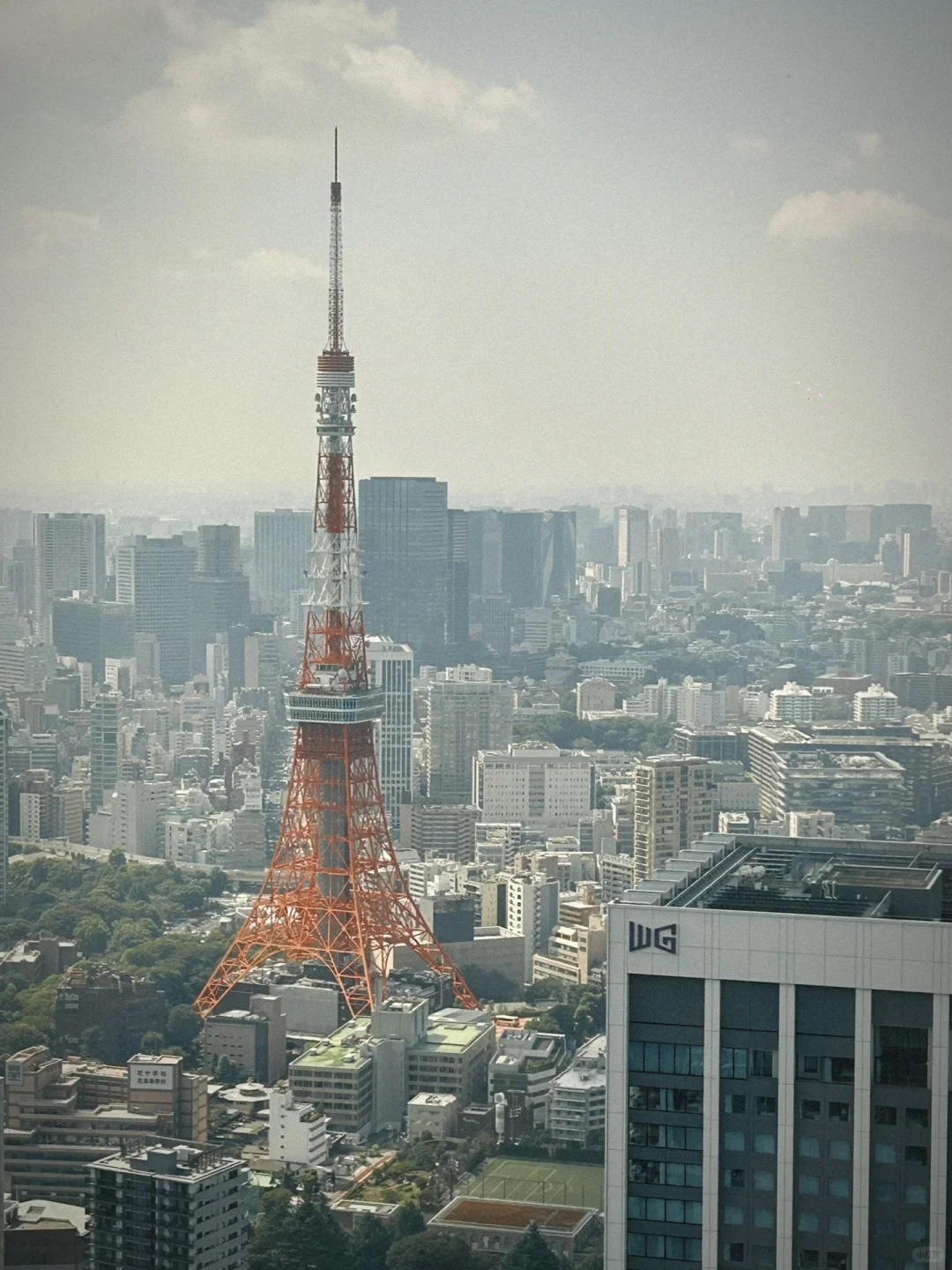 超好玩的东京展览