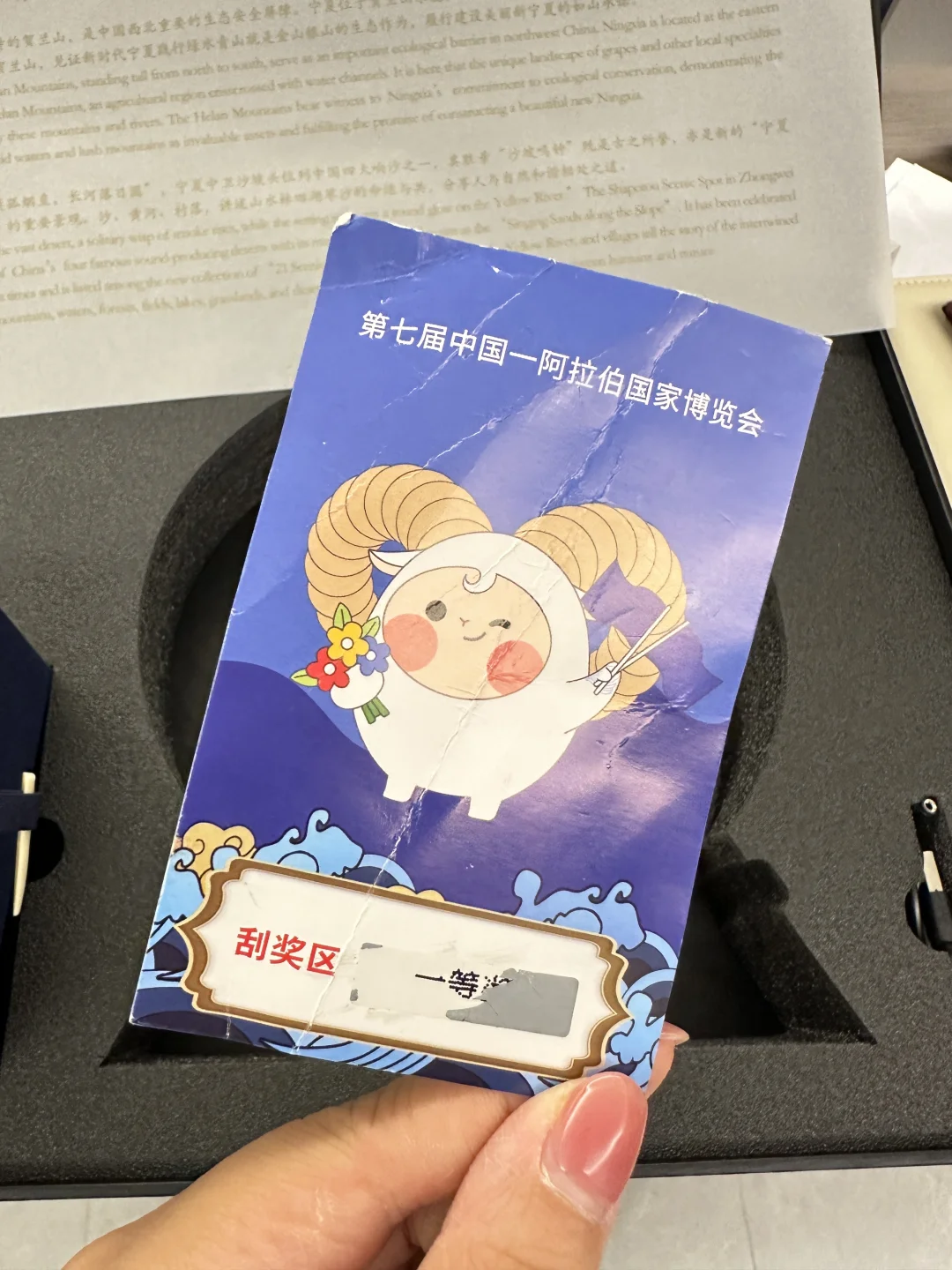 中阿博览会抽奖中了一等奖