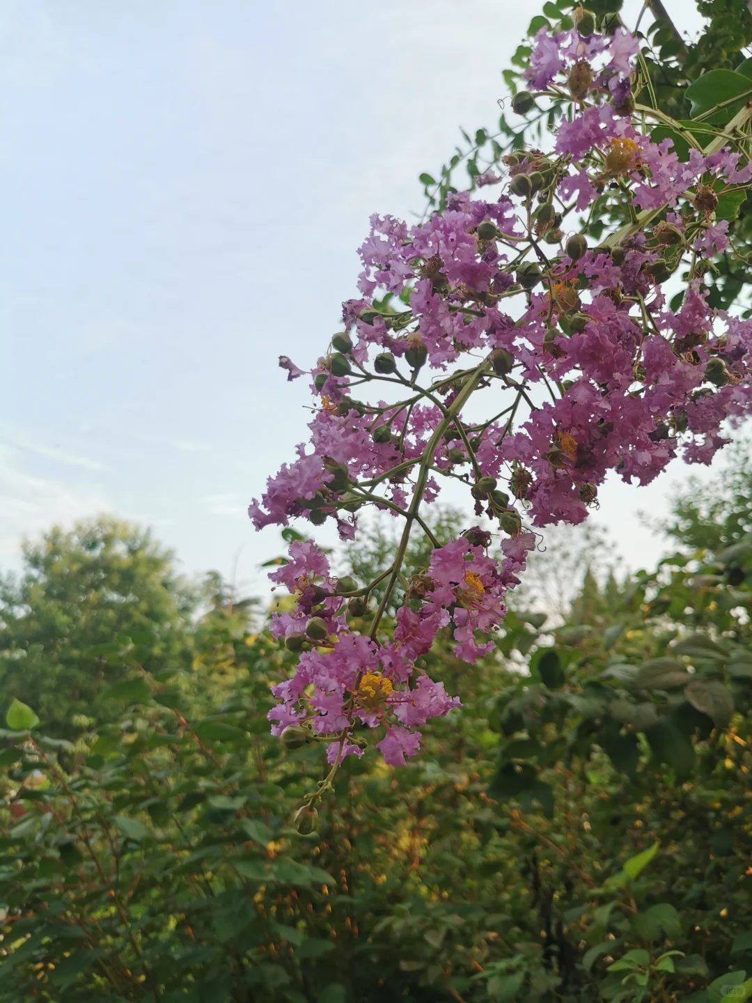 55岁的阿姨玩小红书