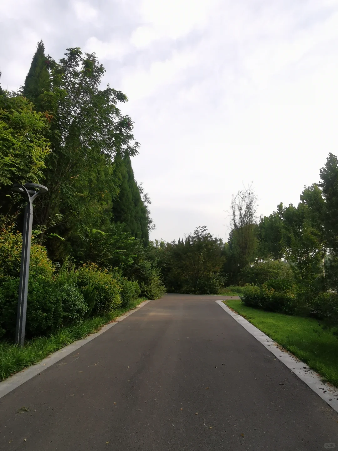 55岁的阿姨玩小红书