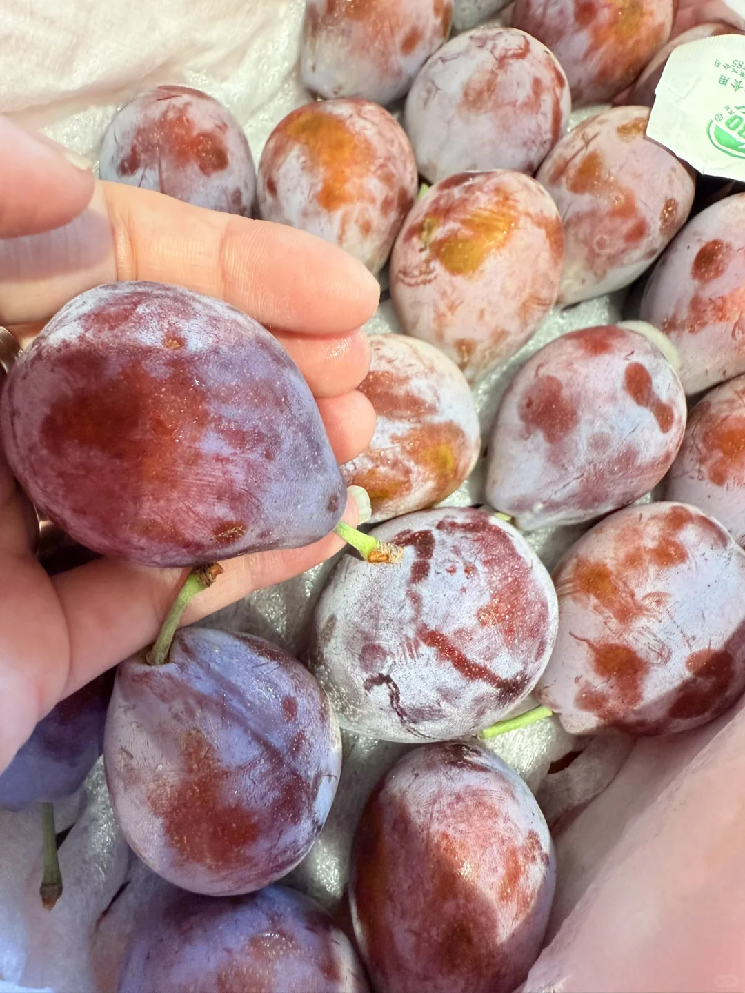 我的新疆阿达西又来了 真的好吃啊