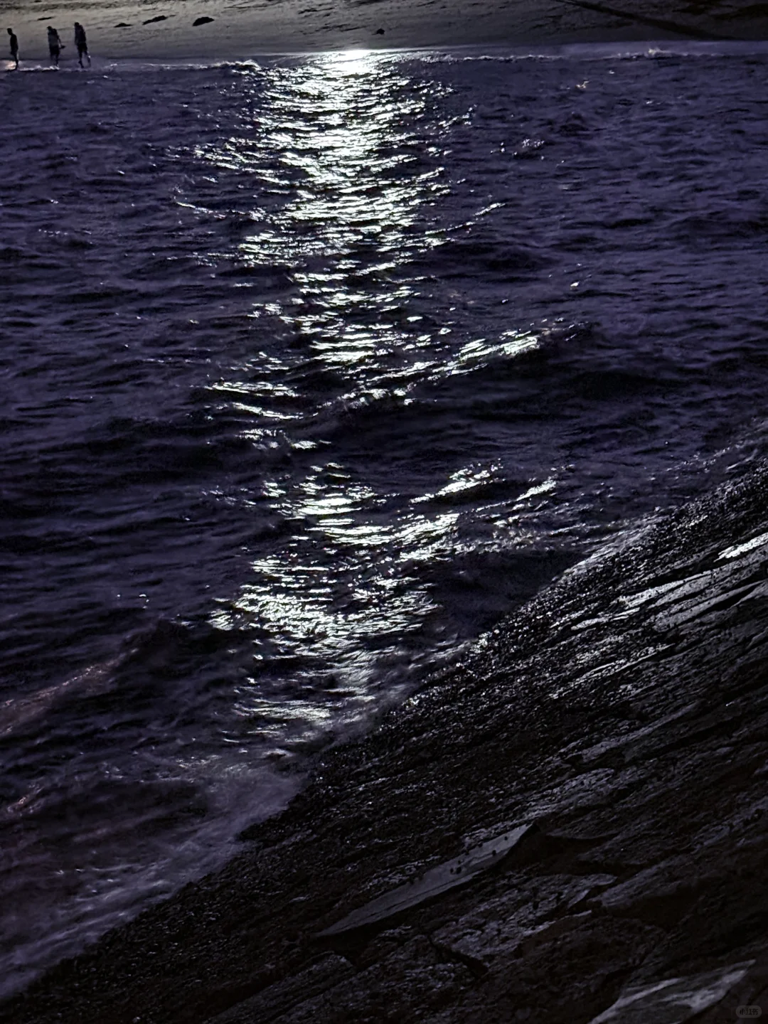 厦门美景｜会展海滩