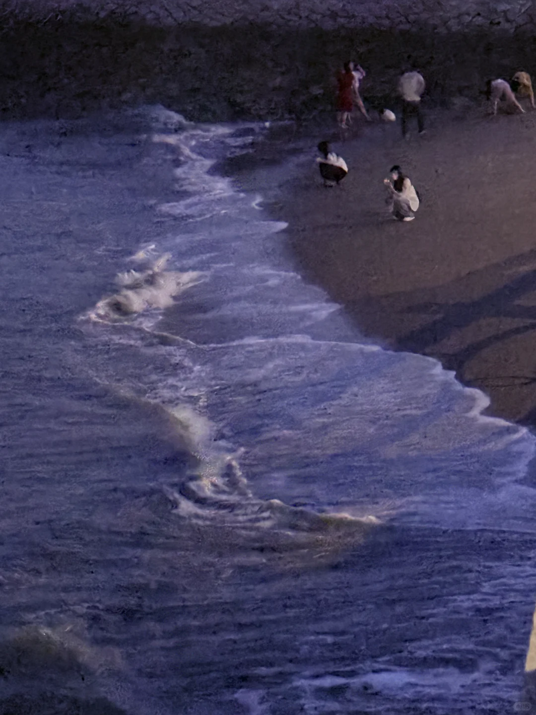 厦门美景｜会展海滩