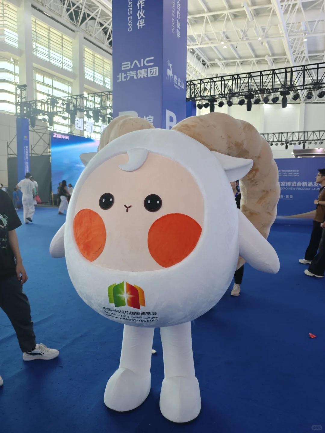 中阿博览会??