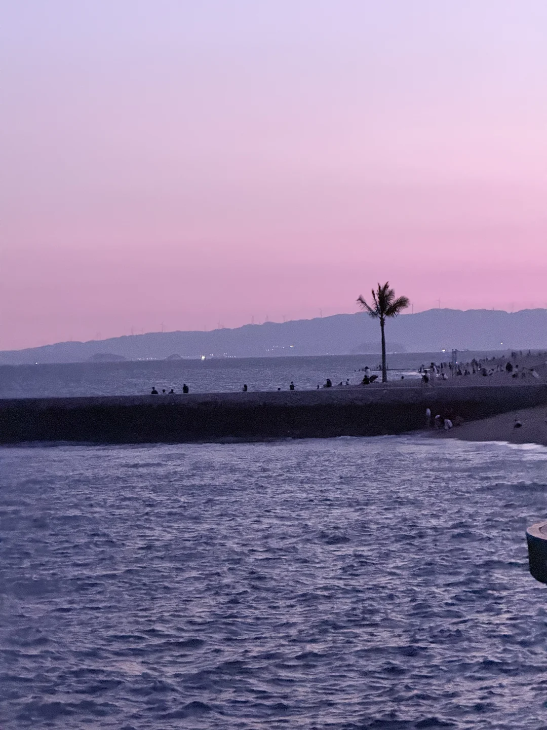 厦门美景｜会展海滩