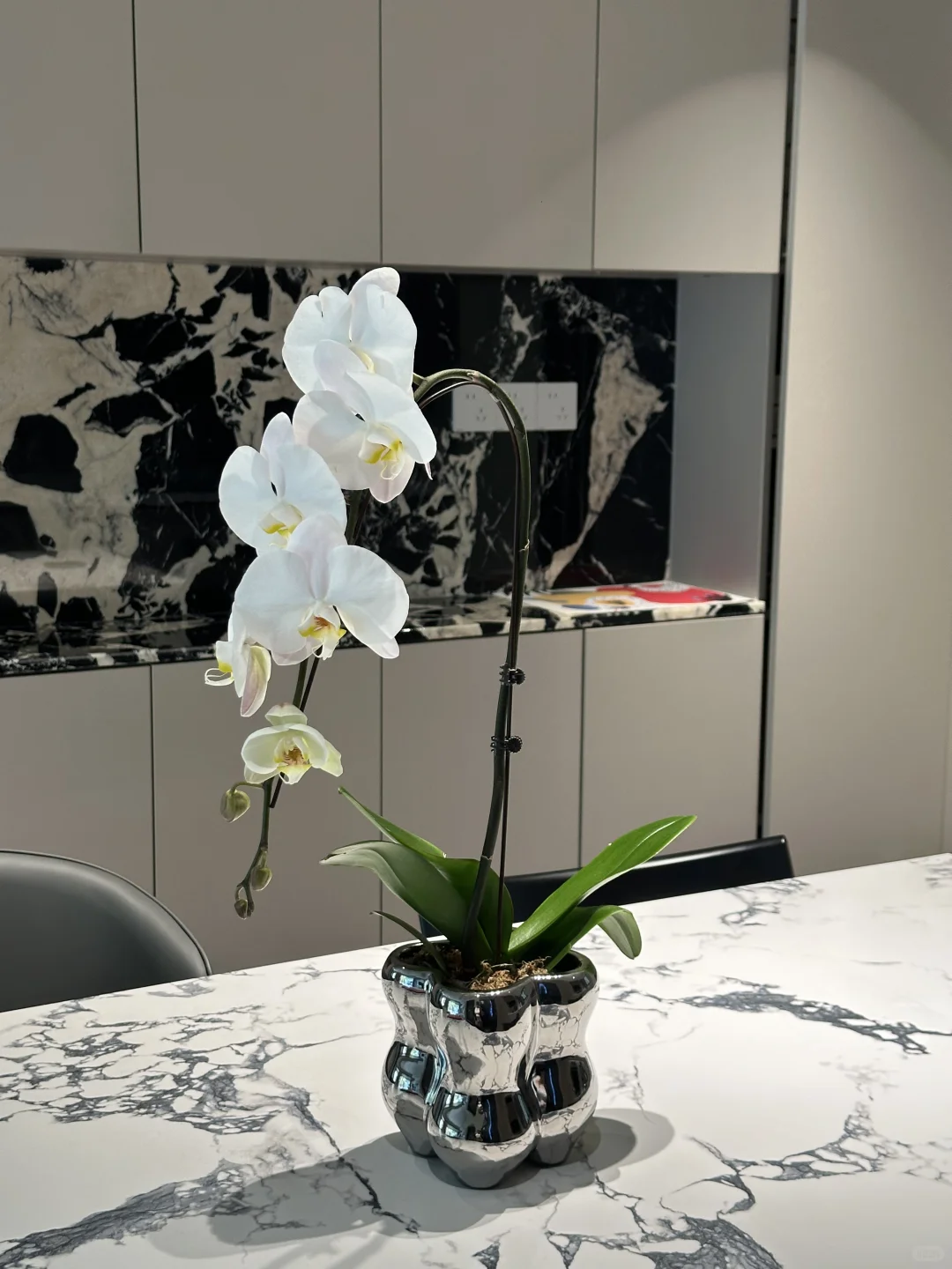 平平淡淡 却是真真切切