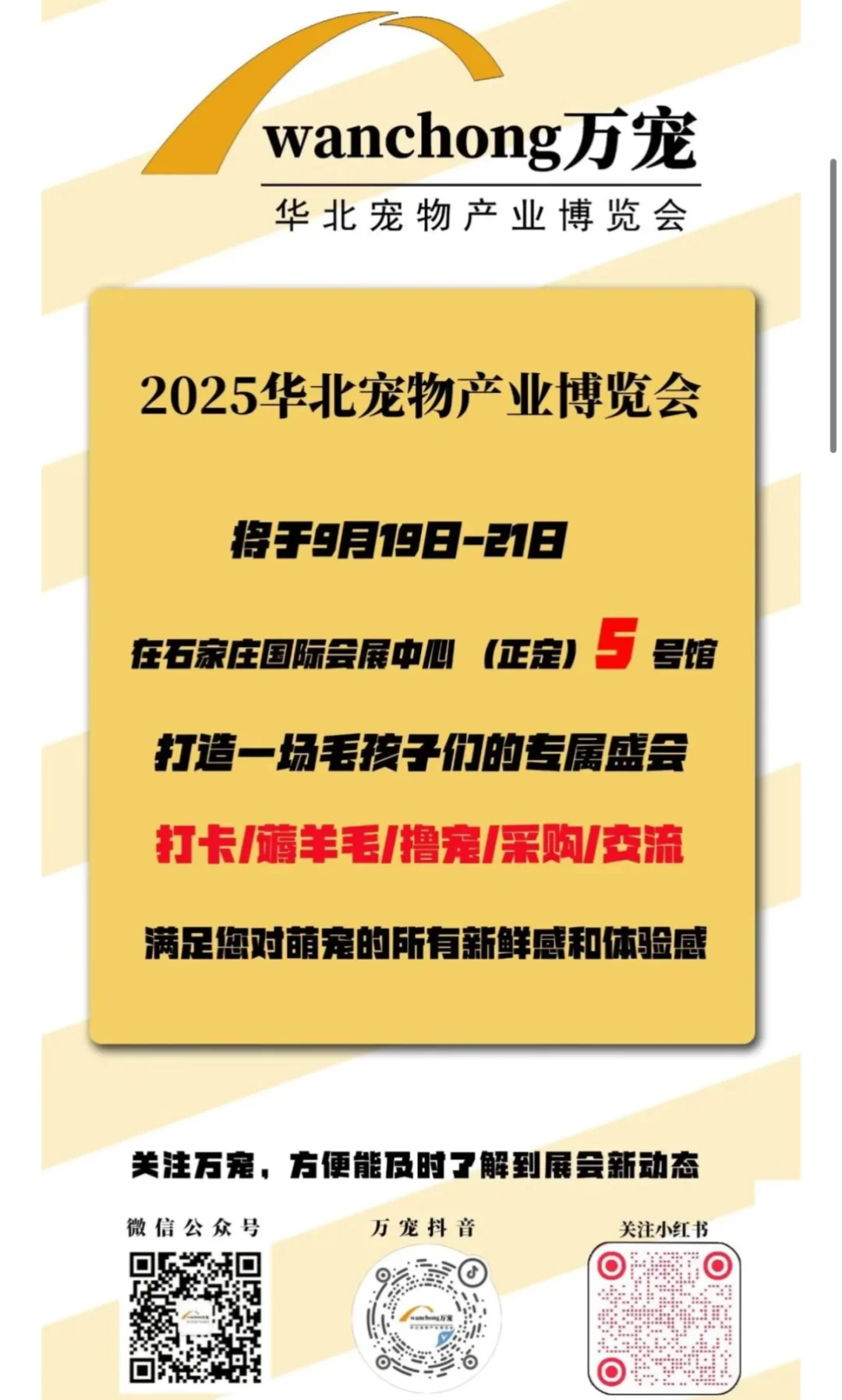 石家庄也有啦