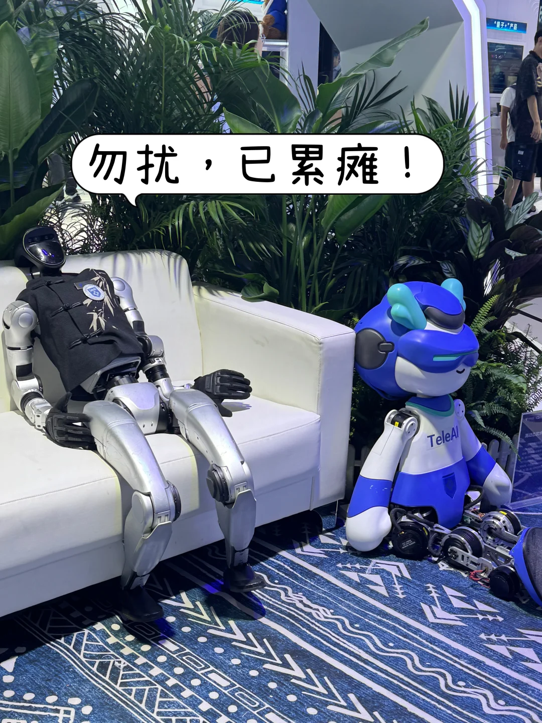 数博会见！大数据看这里！（含live图）