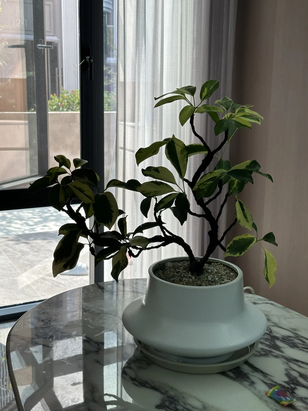 平平淡淡 却是真真切切