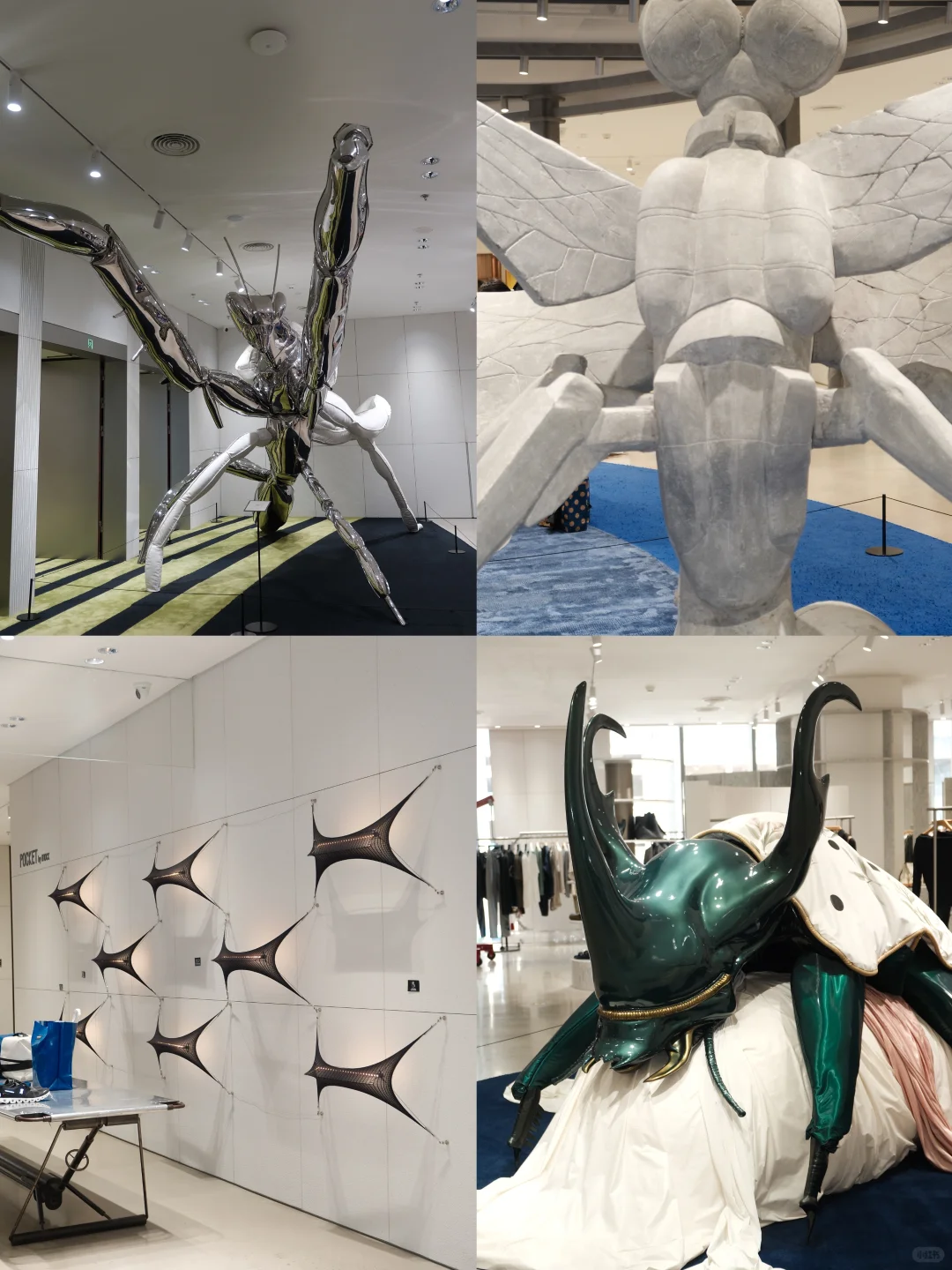 2025 艺术生深圳必看的展览❤️