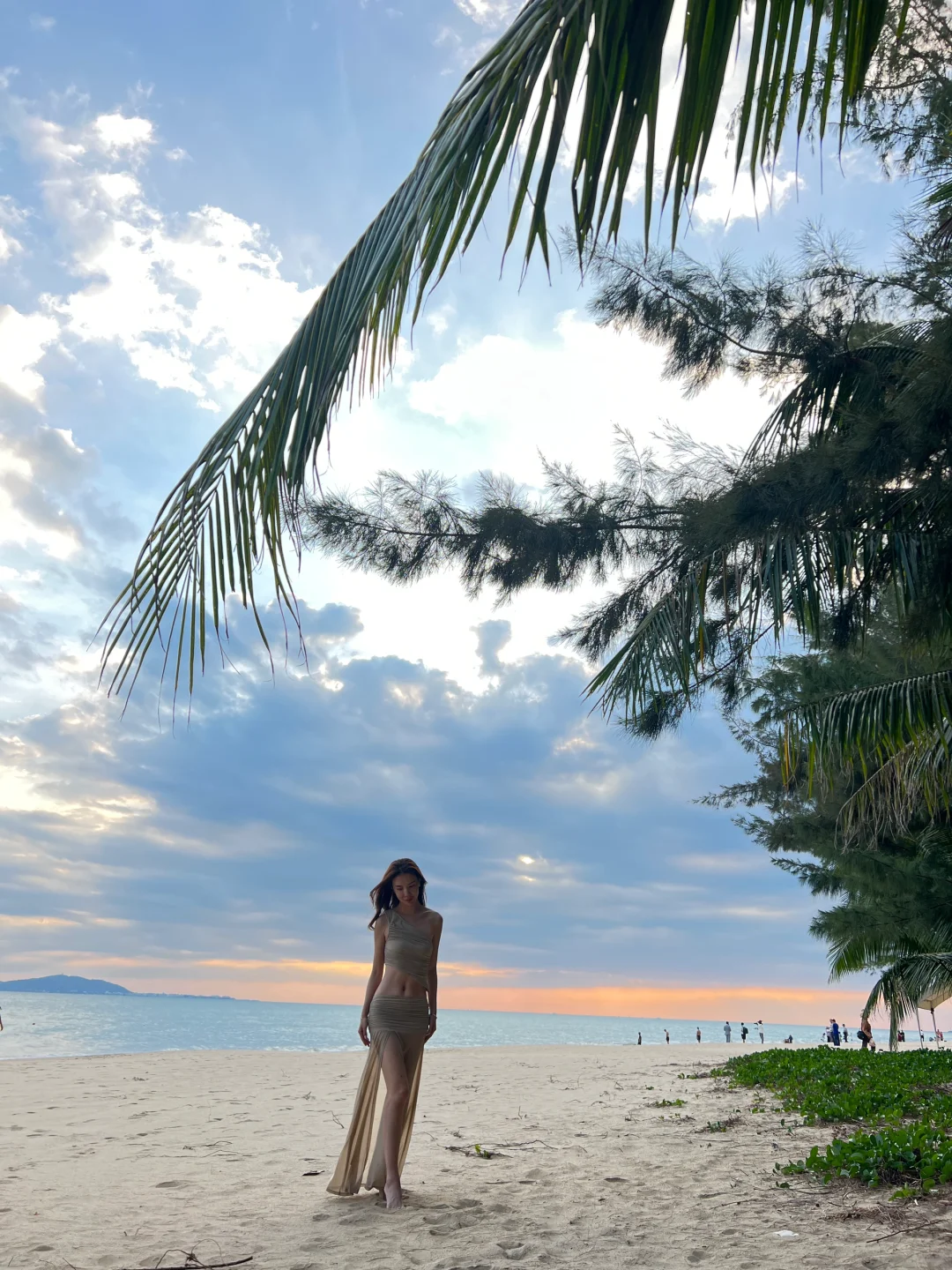 今天的回头率是Shein给的