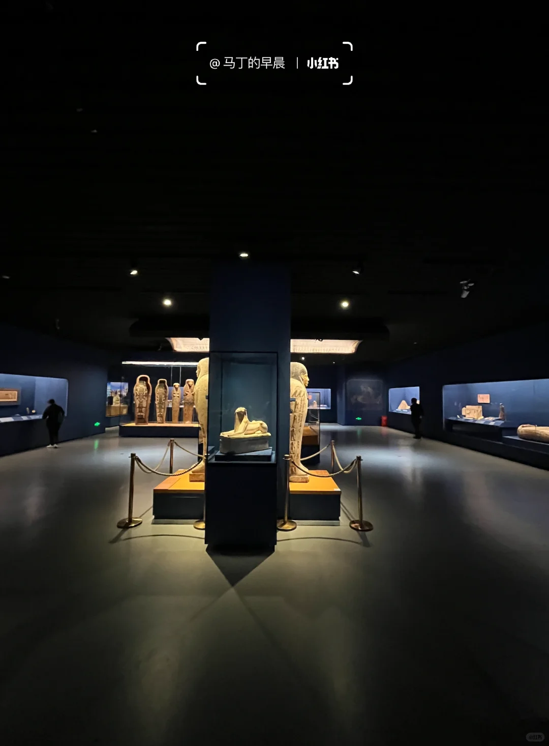 上博埃及展营收超七亿？！