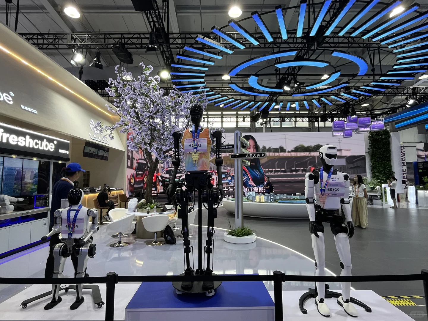 服贸会还是没有羊毛