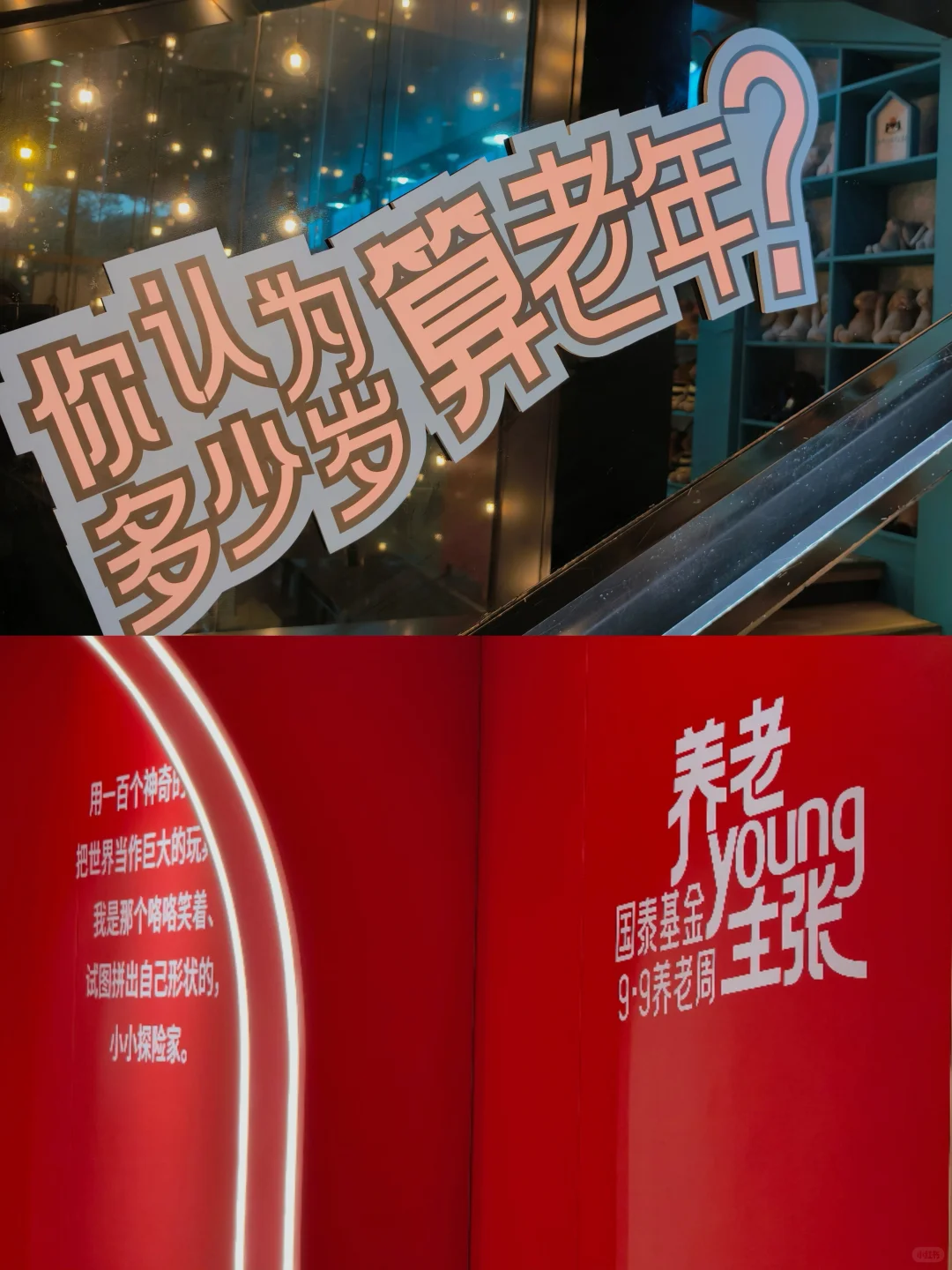 免费展治好了我的养老焦虑！25岁『养老躺赢』