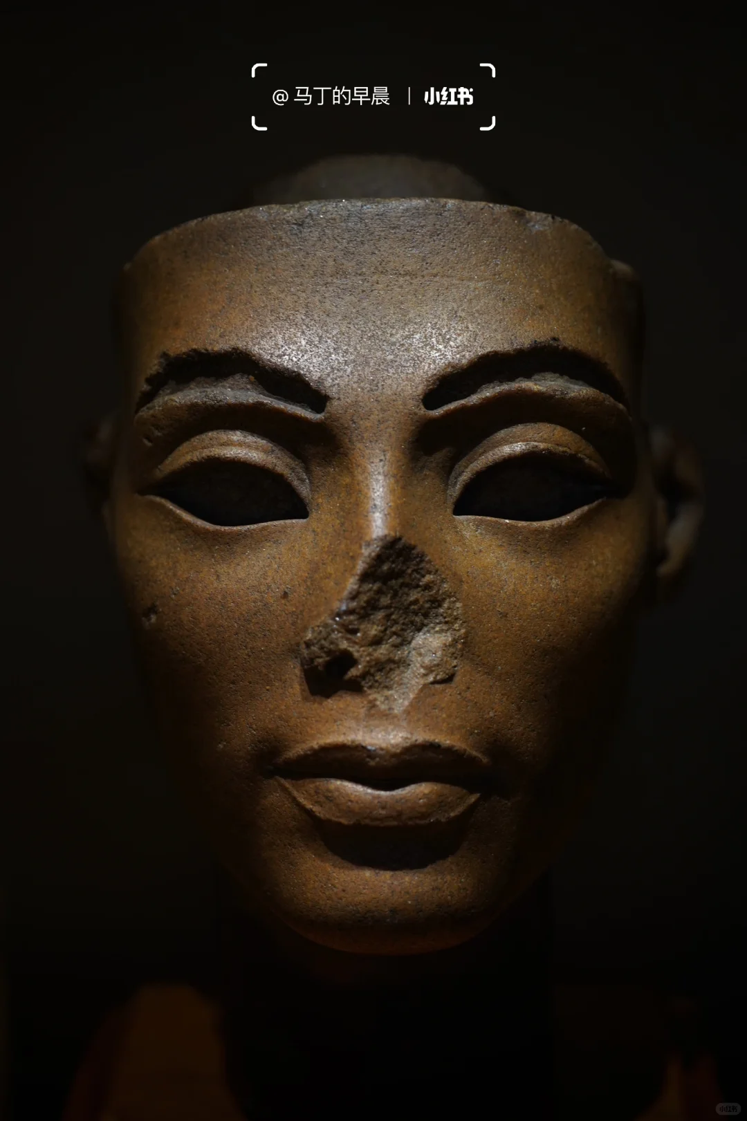 上博埃及展营收超七亿？！