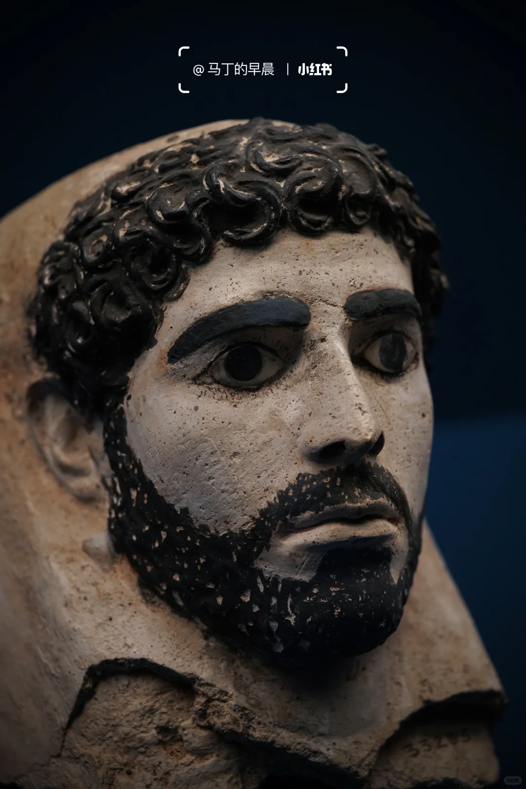 上博埃及展营收超七亿？！