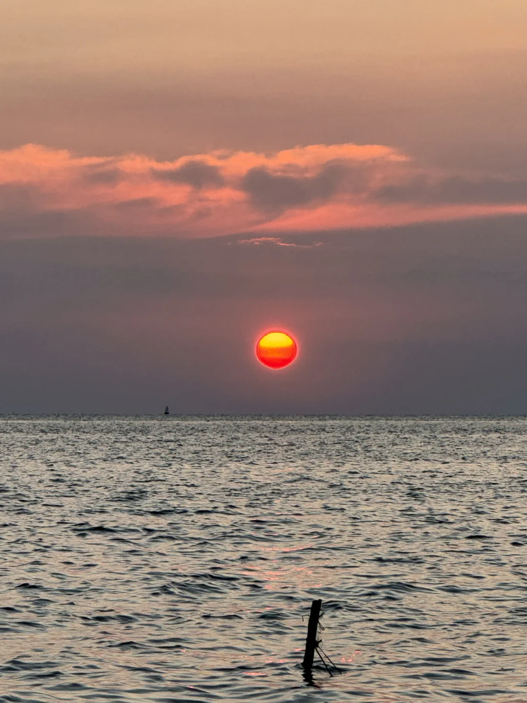 我的时间就该浪费在这种地方?
