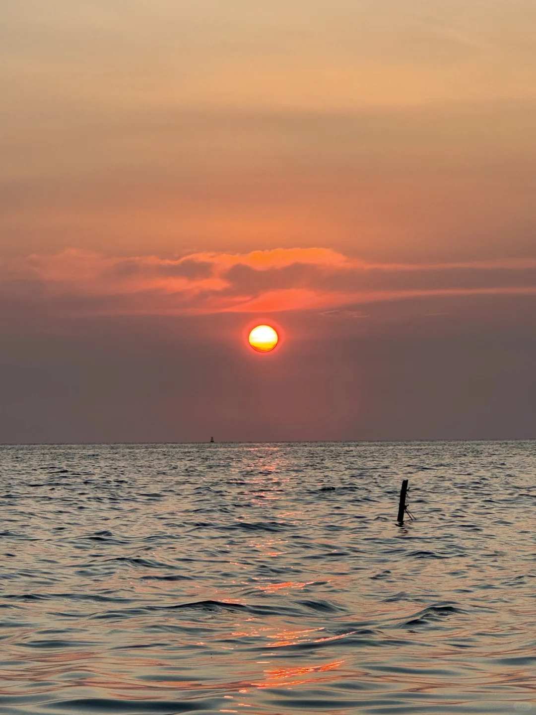 我的时间就该浪费在这种地方?