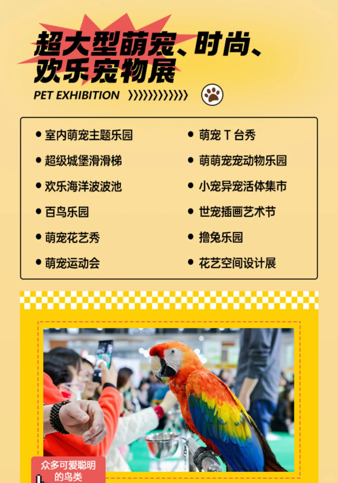 广州9?️宠物展逛展全详细攻略来啦✌?