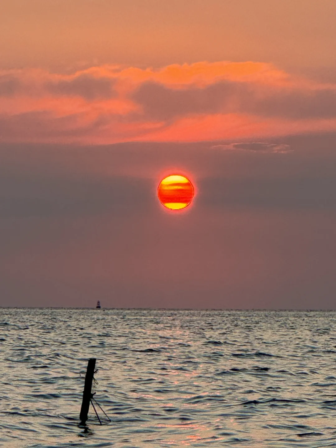 我的时间就该浪费在这种地方?