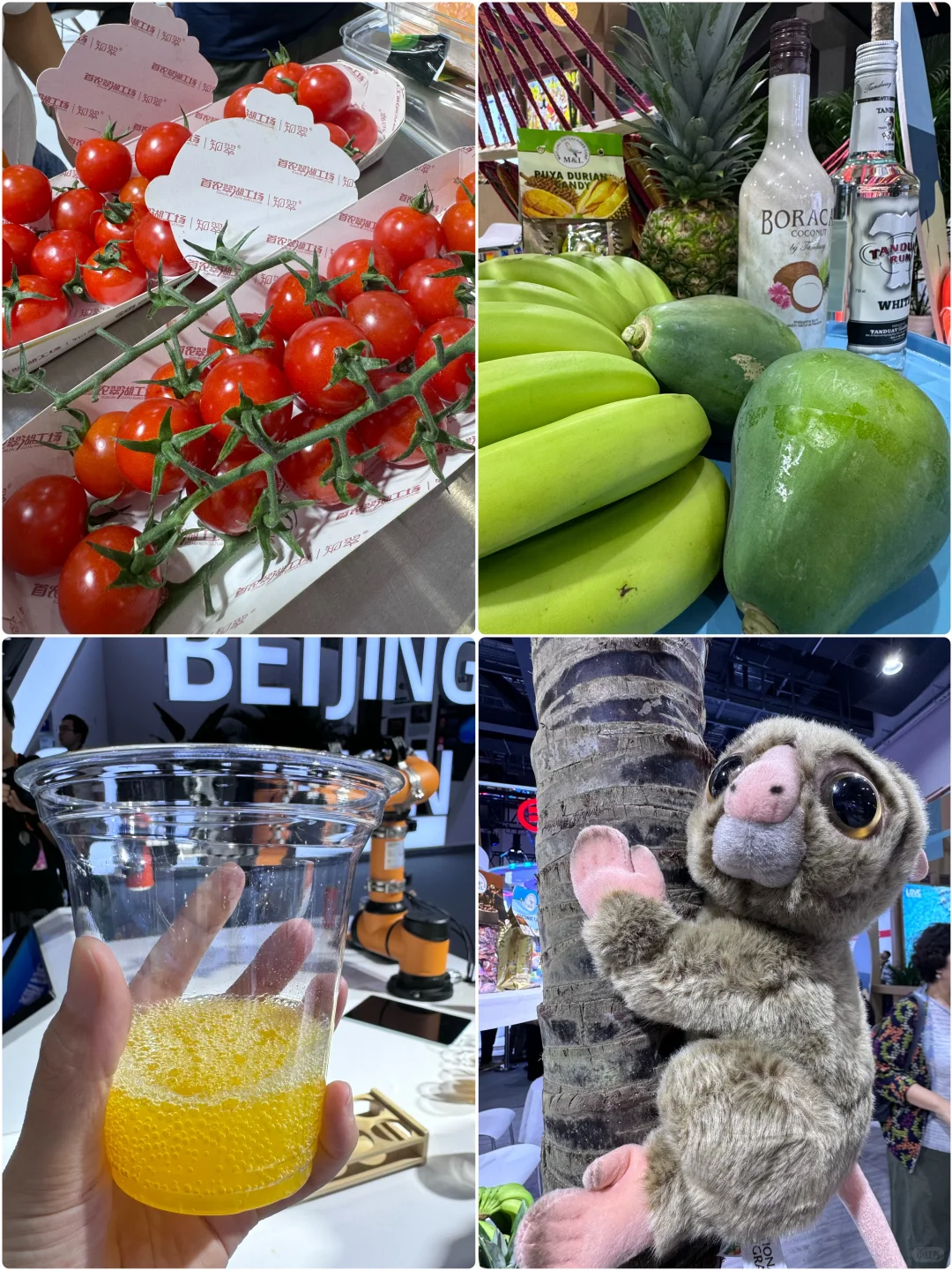 熬夜整理！2025服贸会观展攻略直接抄作业