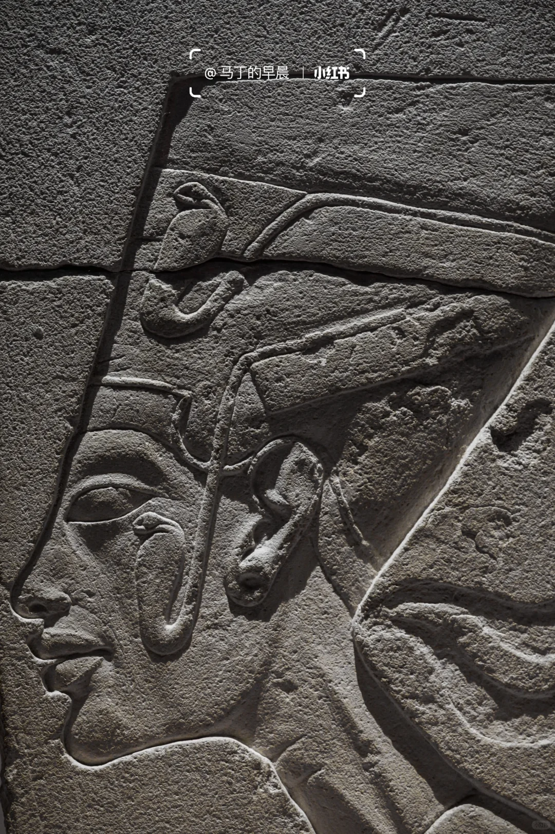 上博埃及展营收超七亿？！