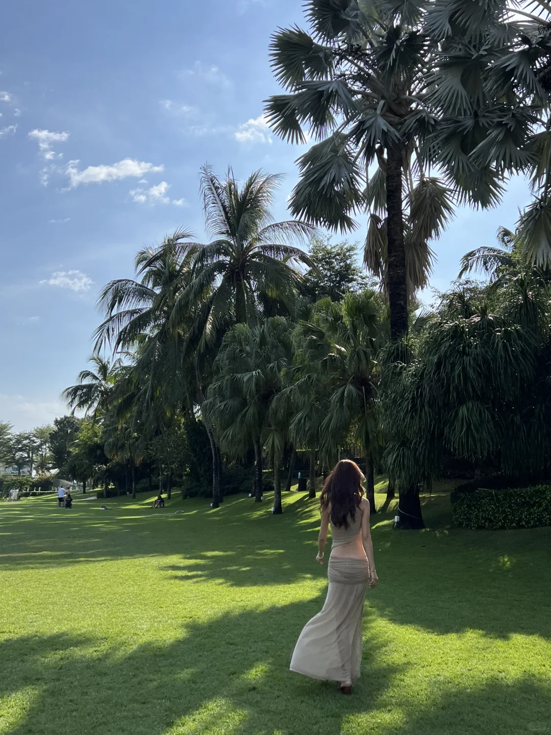 今天的回头率是Shein给的