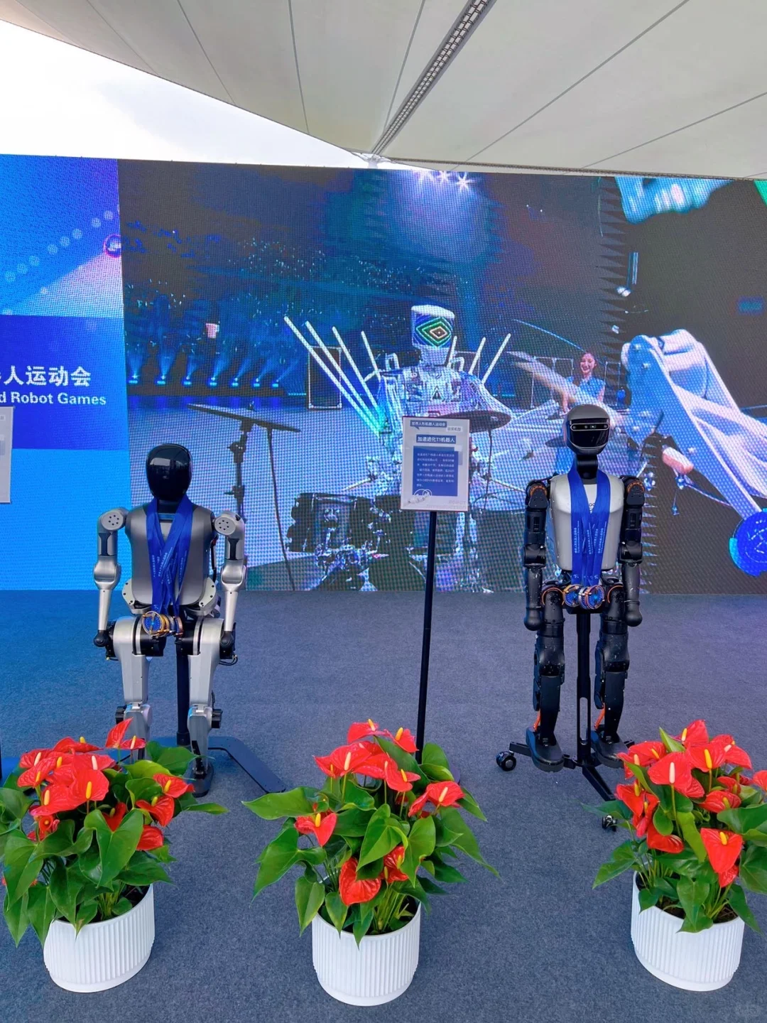 逛完首钢服贸会，感觉机器人的时代真的来了