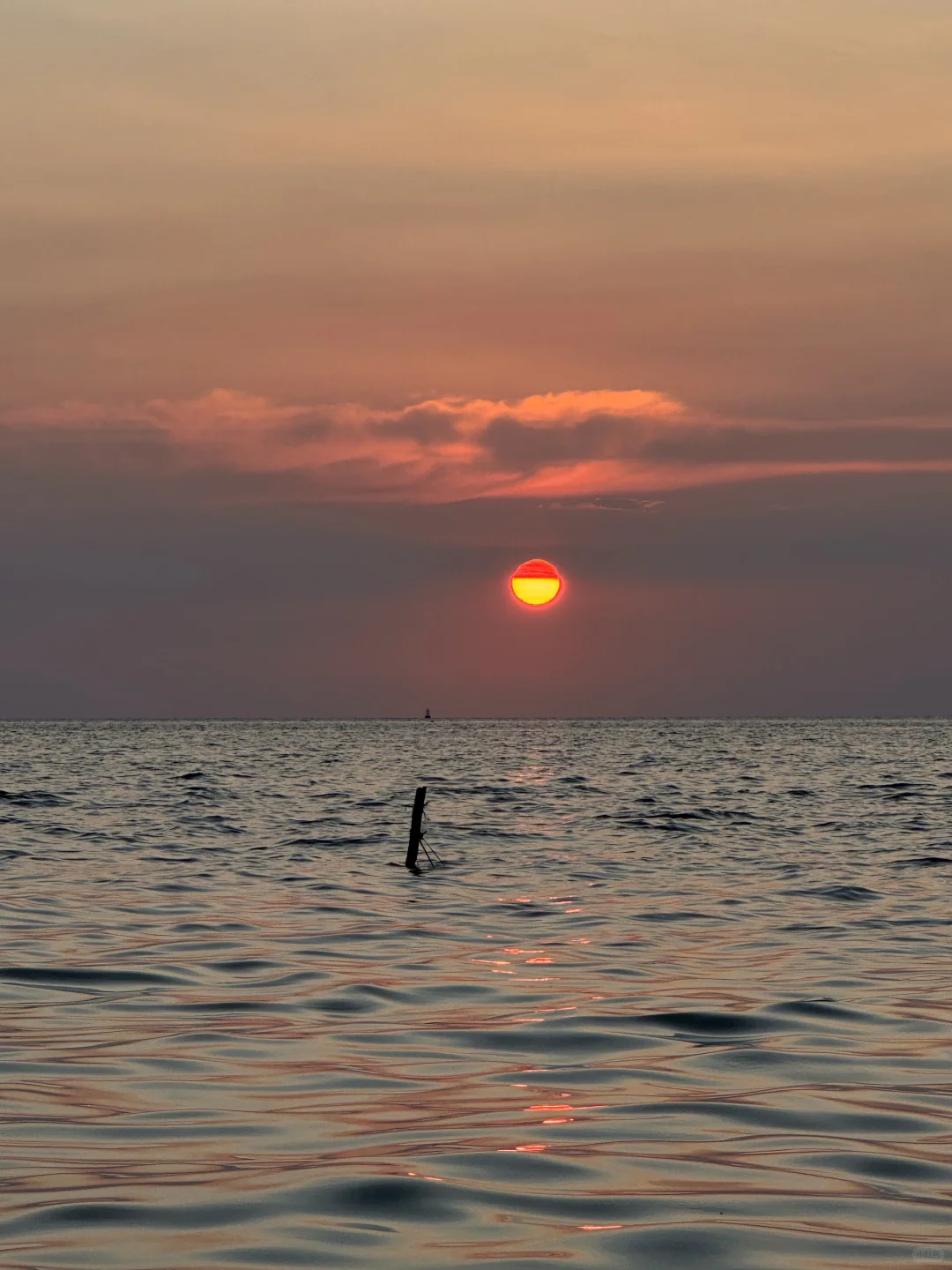 我的时间就该浪费在这种地方?