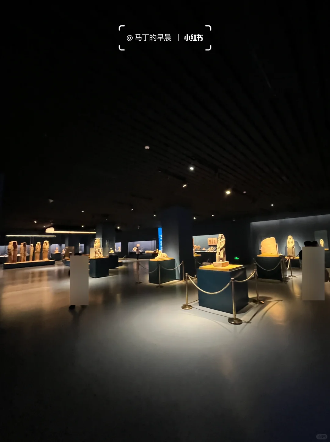 上博埃及展营收超七亿？！