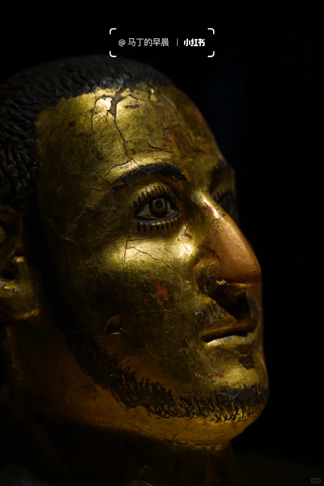 上博埃及展营收超七亿？！