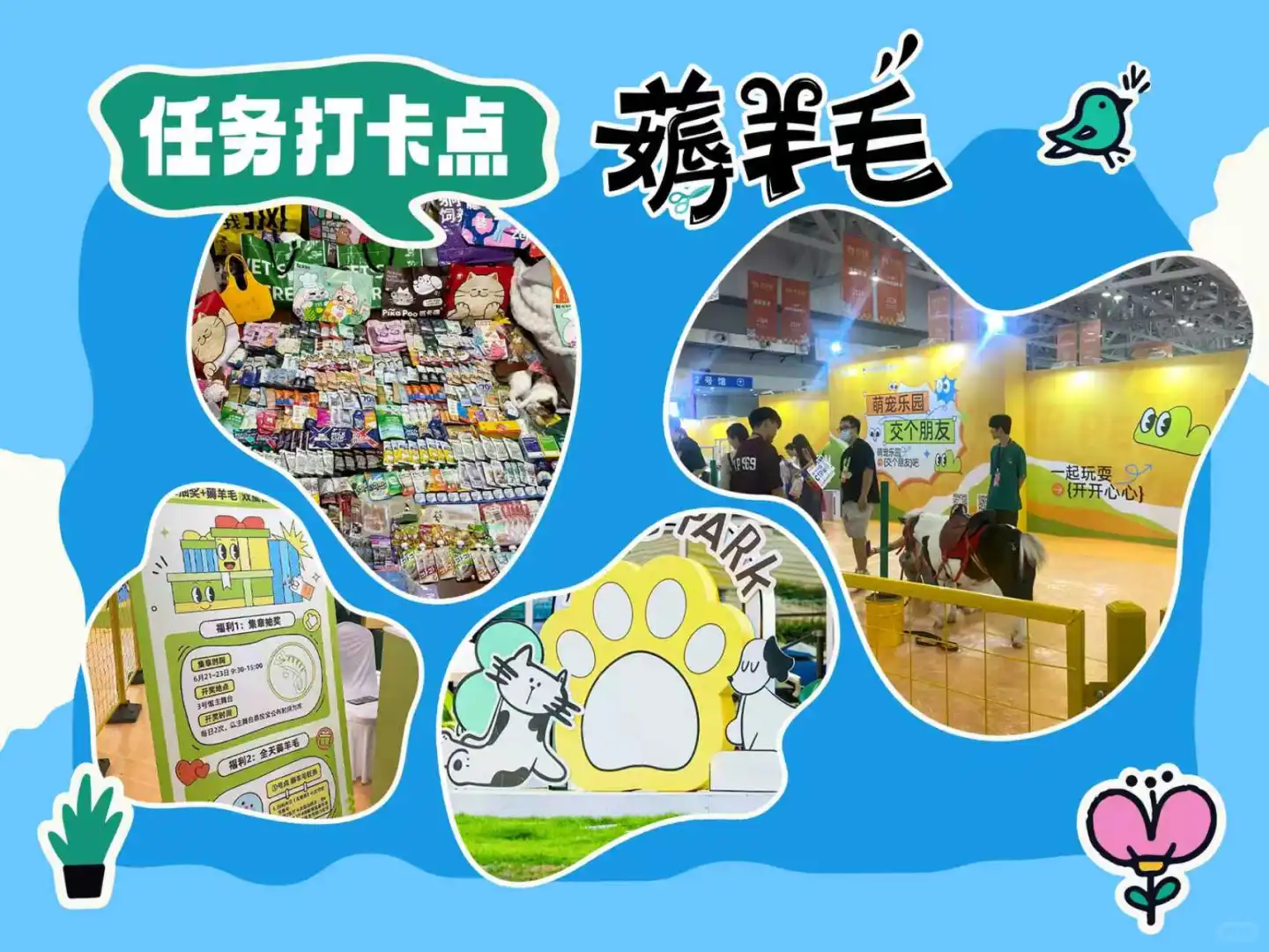 ?晒出你的毛孩子，北宠展免费票抱走！