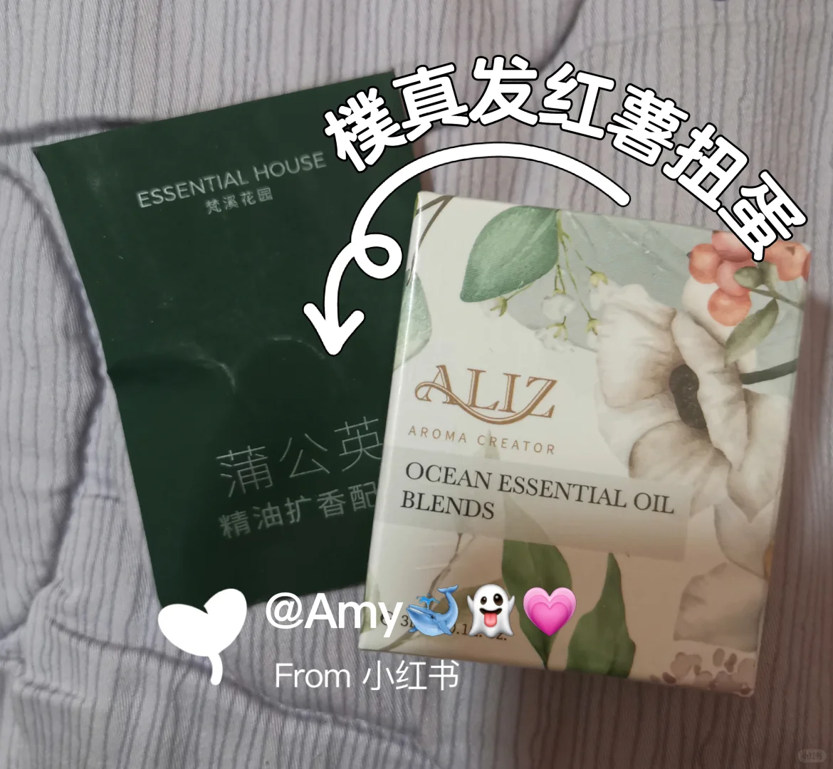 2025.08.22世博芳香展