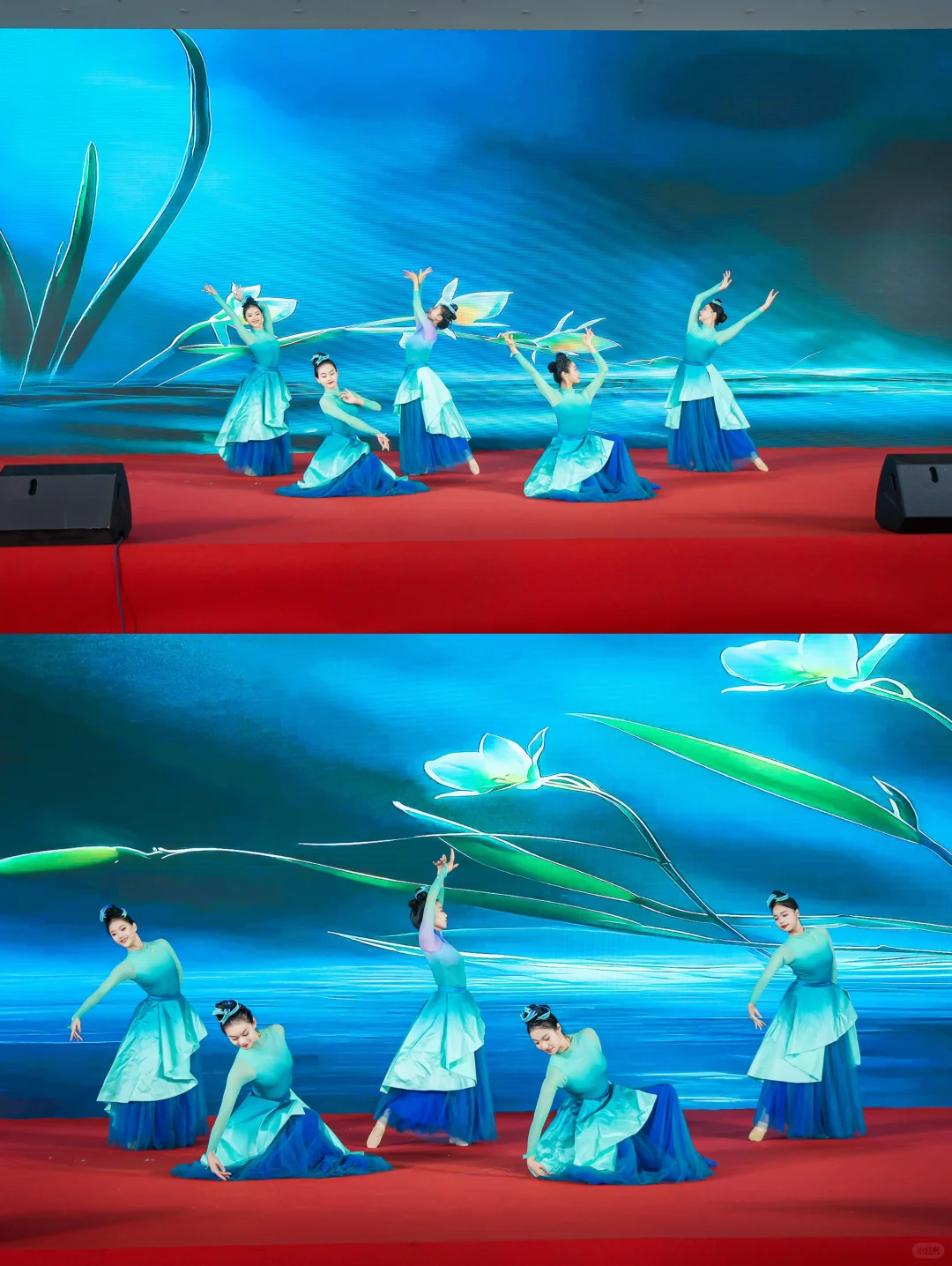 利舞团·农产品推介会