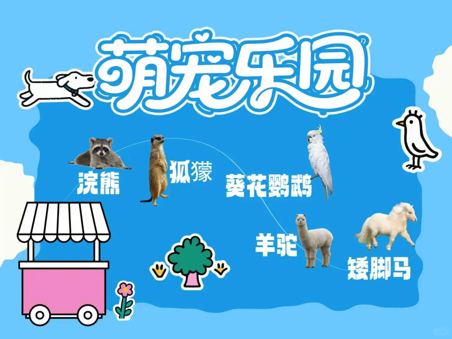 ?晒出你的毛孩子，北宠展免费票抱走！