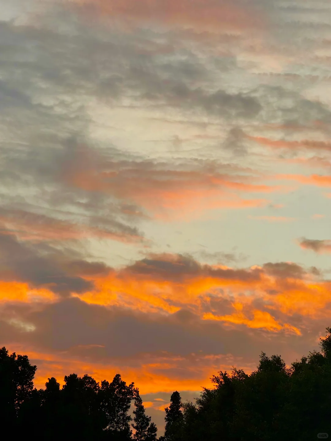 拒绝大胸羞耻，想穿就穿?‍♀️