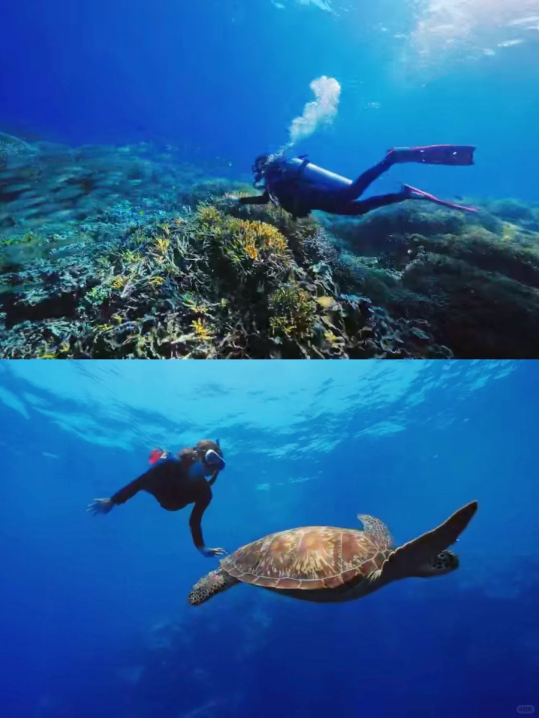 遇见真实印尼：一场展会后的心动邀约