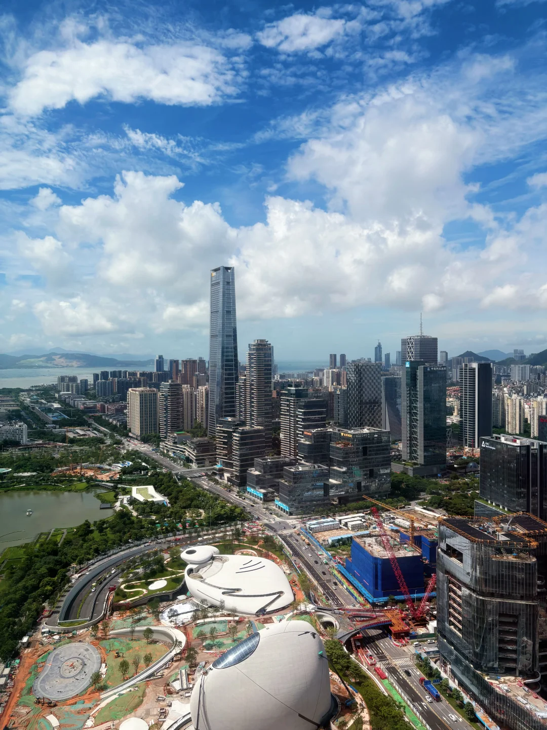 职此青绪 未来可期?