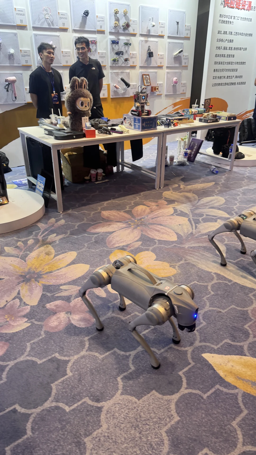 大一｜跨境展会学习