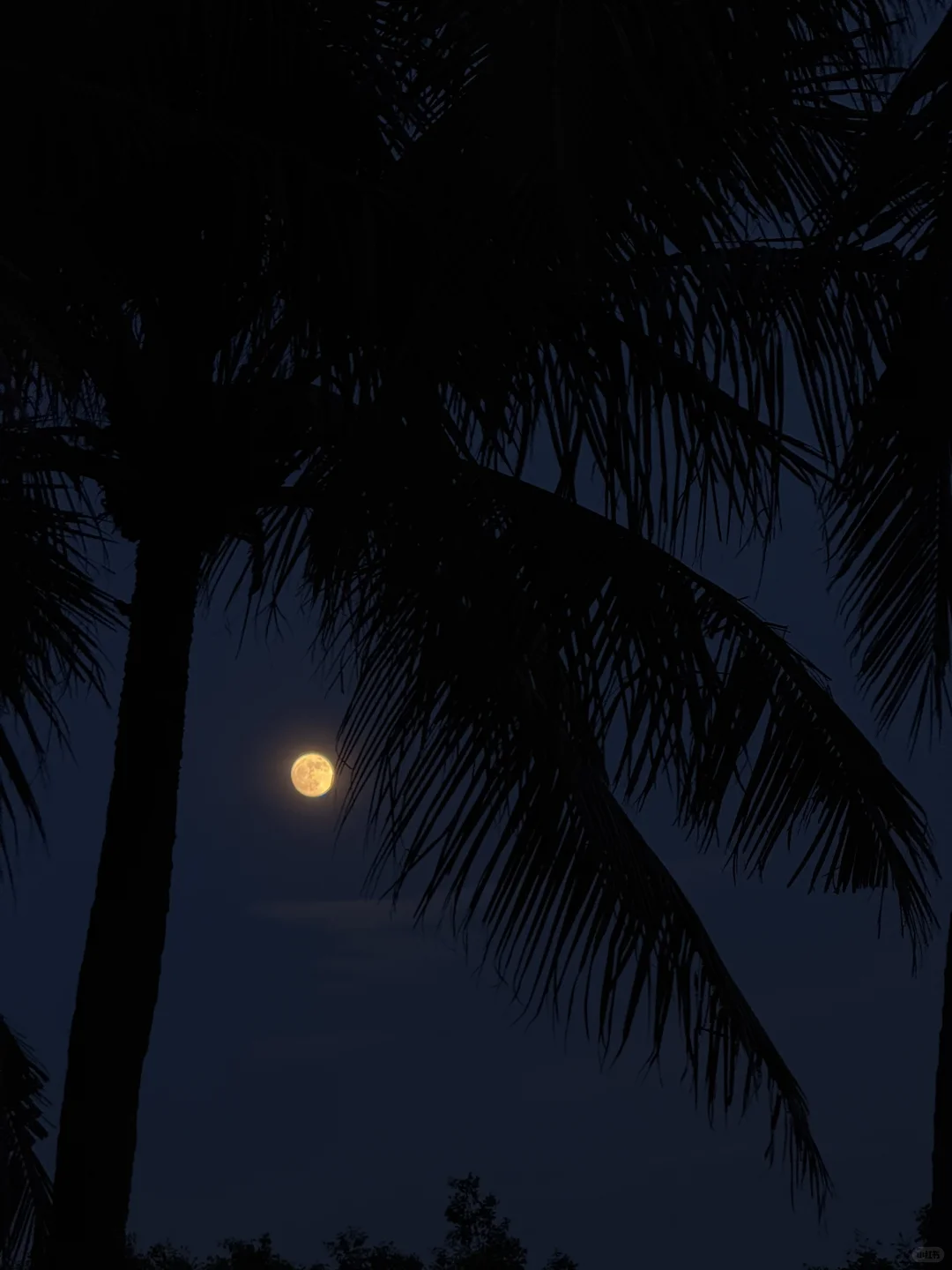 拒绝大胸羞耻，想穿就穿?‍♀️