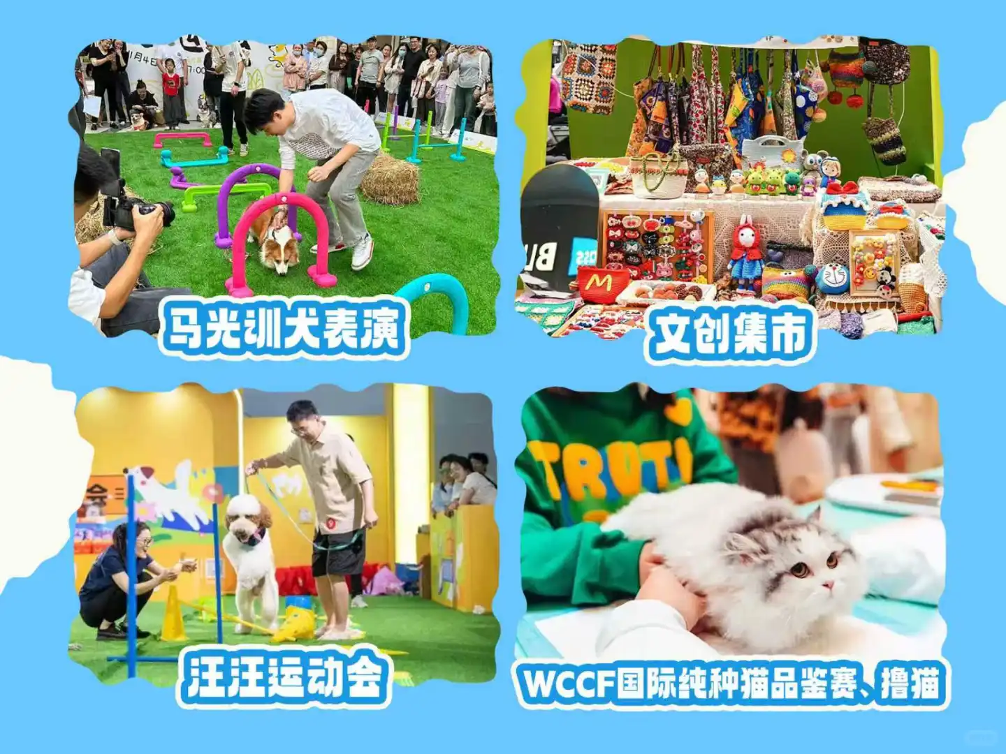 ?晒出你的毛孩子，北宠展免费票抱走！